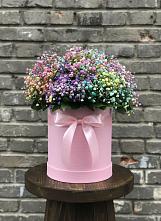 Цветочная композиция из Гипсофила и Розы в шляпной коробке в Холмской