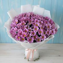 Букет цветов из:  Хризантемы #REPLACE_PRED# Холмской