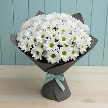 Букет цветов из:  Хризантемы в Холмской