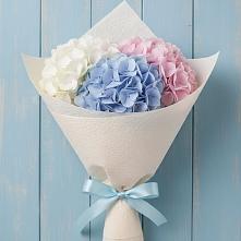 Букет цветов из:  Гортензия в Холмской