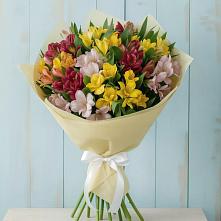 Букет цветов из:  Альстромерии #REPLACE_PRED# Холмской