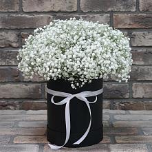 Цветочная композиция из Гипсофила в шляпной коробке в Холмской