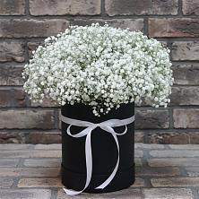 Цветочная композиция из Гипсофила в шляпной коробке в Холмской