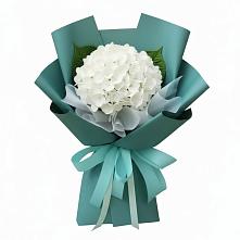 Букет цветов из:  Гортензия #REPLACE_PRED# Холмской
